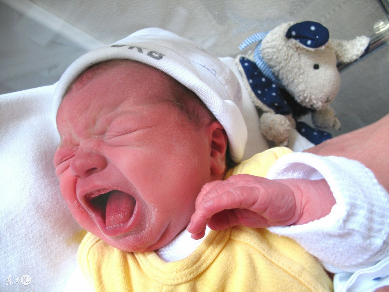 7个月宝宝生理性腹泻怎么治,宝宝腹泻的症状原因及治疗