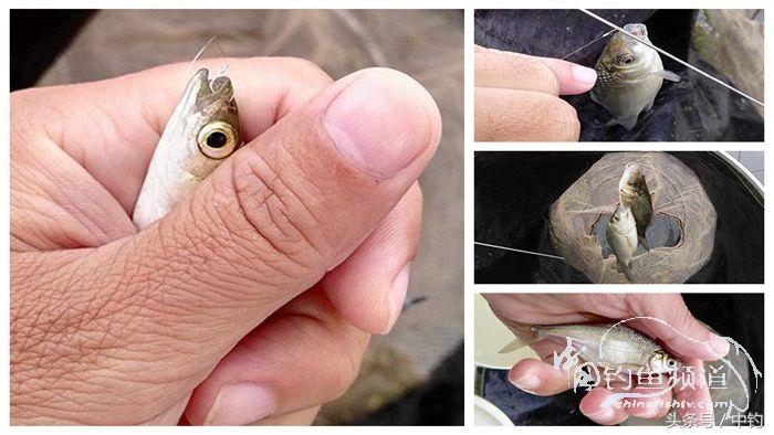 钓鱼之西部风情