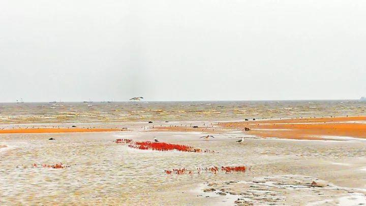 长城wey怎么样,长城wey2022款混动版