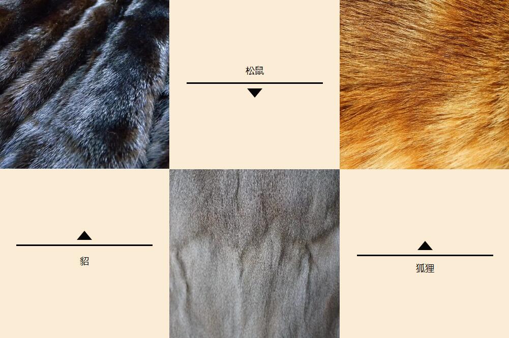 去俄罗斯，推荐买件貂皮带回去！