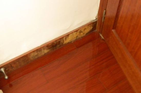 新鞋臭怎么办快速去除,鞋子总是有一股霉臭味道怎么处理