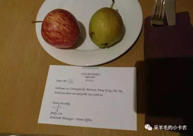 带娃去香港游玩最省钱攻略,假期带孩子去香港玩