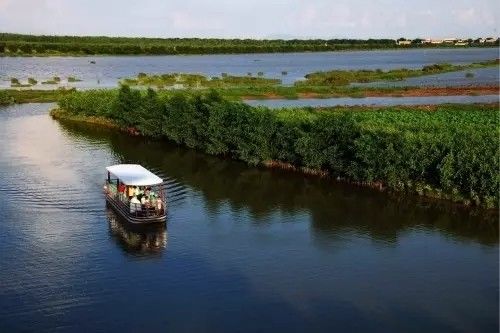 美得不像样子!广州秋季“花潮”来袭,你最想和谁一起看