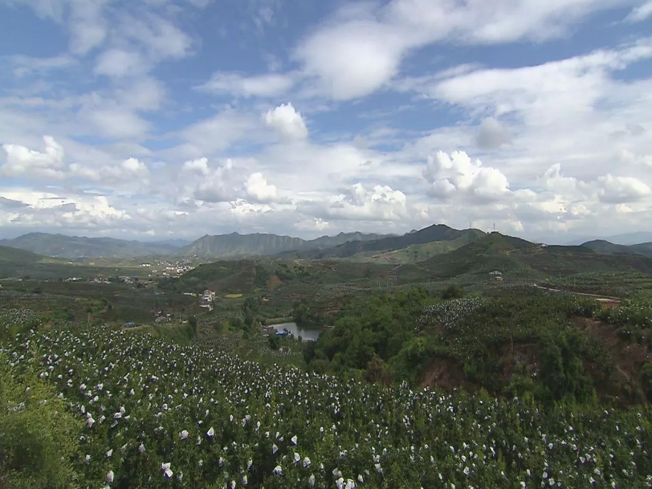 小伙伴们准备好了吗配音,小伙伴们准备好了吗语音