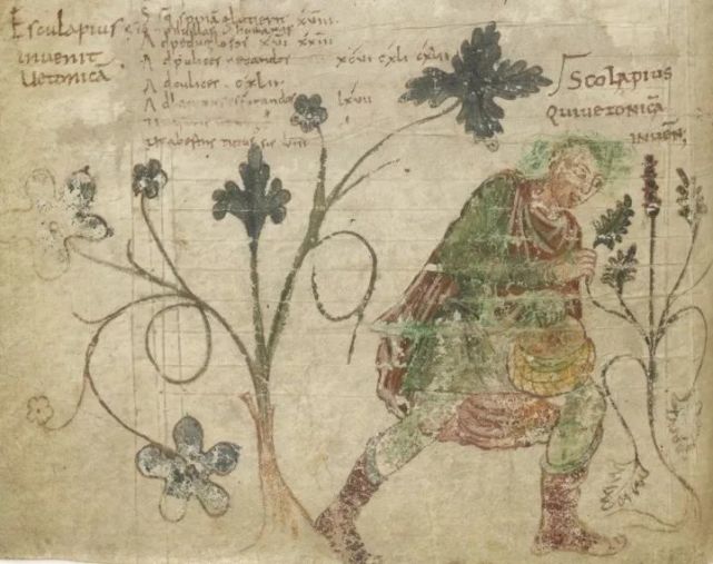 西医伪科学的本质,西医究竟是骗局吗