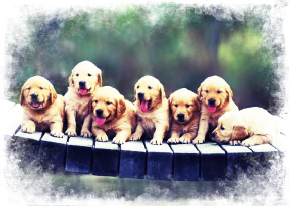 photoshop调整曲线教程,photoshop曲线技巧和修图教程