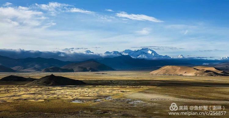 只要能去*藏西**,头痛高反什么的都不care