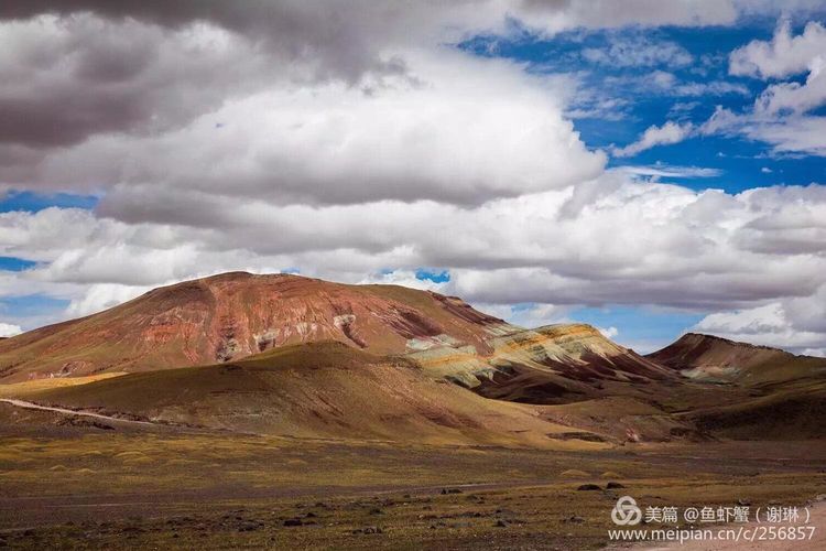 只要能去*藏西**,头痛高反什么的都不care