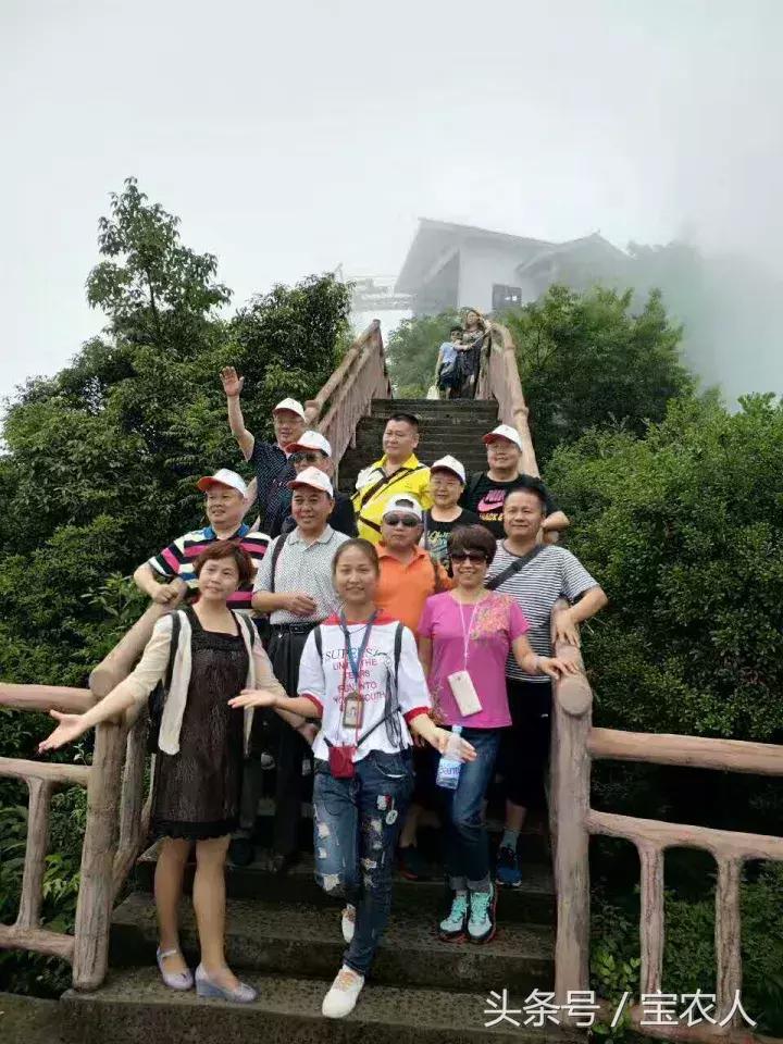 评选湖南十大导游,湖南最美十大导游