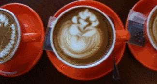 藏在万国MOMA里的秘密花园，不仅仅是一家颜值爆表的西餐厅！