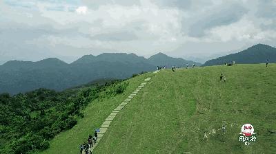 福州永泰云顶旅游景区,福州云顶景区优惠门票多少