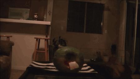 记性不好发朋友圈的幽默句子,记性不好老是忘事怎么办