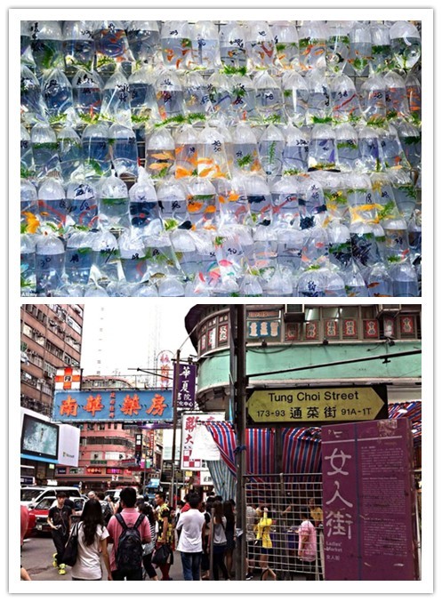 香港购物攻略买什么表,香港购物攻略买衣服