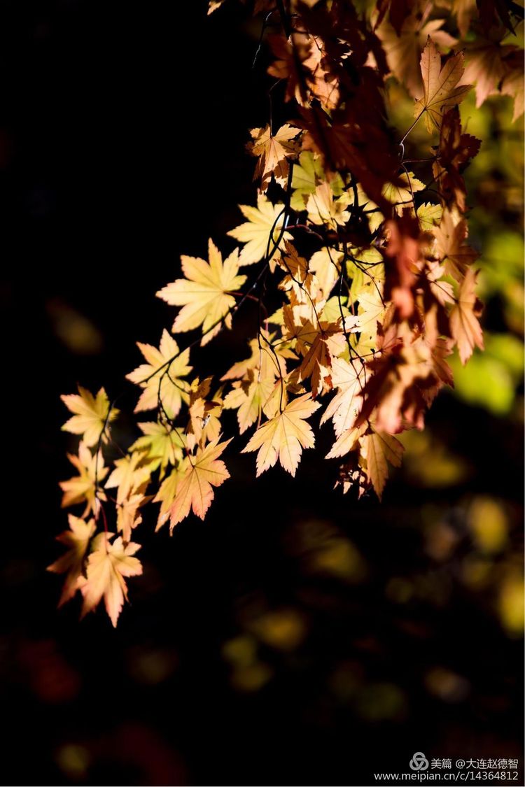 庄河天门山有哪些景观,庄河天门山全景