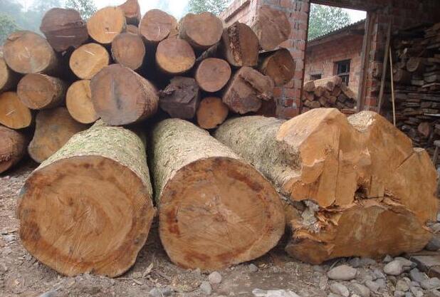 楠木做家具好还是白腊木好白蜡木用来做家具怎么样？