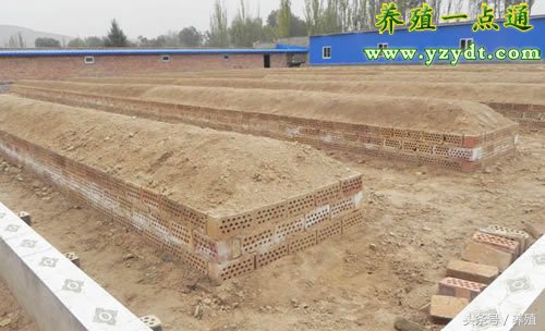 蝎子仿野生大棚,仿野生蝎子养殖舍建造