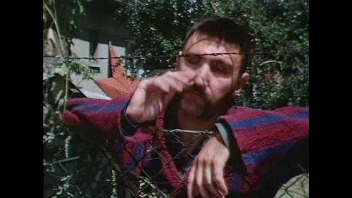 买安陶氧仙子清洁颗粒,安陶氧仙子一箱多少盒