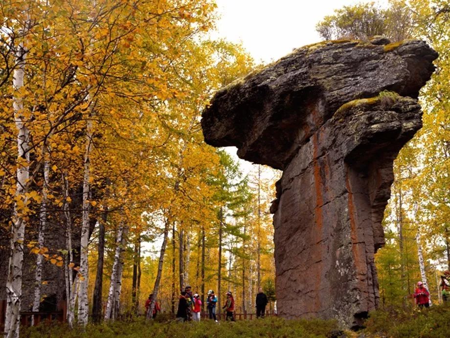 对不起我要去学校了模板,对不起我要去天津了
