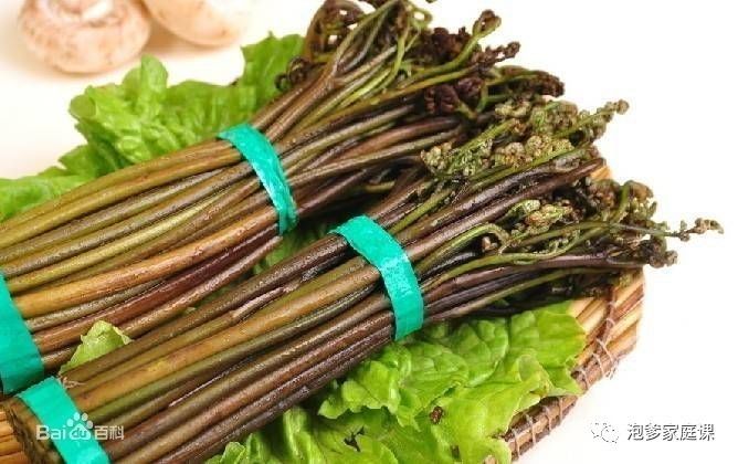 地球植物进化史,地球植物演化史时间轴