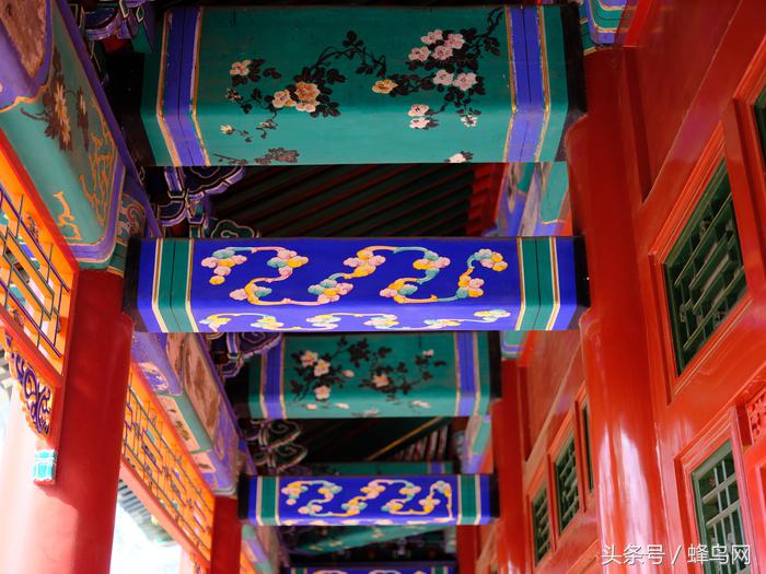 富士中画幅gfx50sii视频评测,富士gfx50s二代高感和全画幅对比