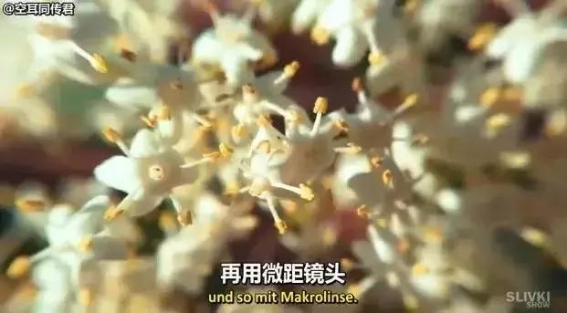 “中国3D风扇”让人惊讶?其实圈粉无数的“中国制造”还有很多!