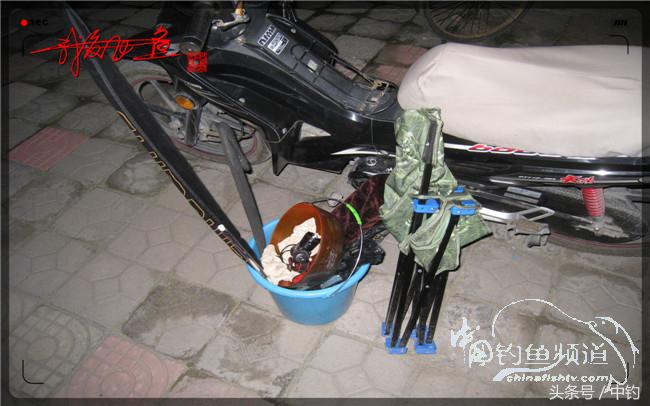 狂拉大板鲫的快乐,狂拉小鲫鱼钓鱼视频