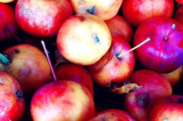 慢旅行自驾游,慢旅行