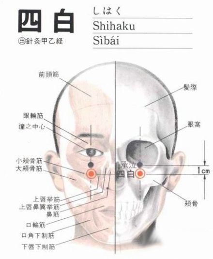 全身解毒最快的穴位,打通全身经脉的穴位