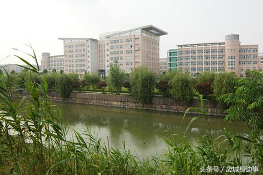 湖北应城天鹅中学,应城一中录取名单