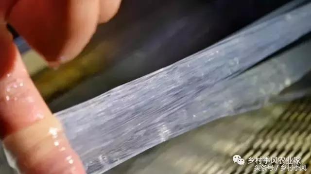 山东招远龙口粉丝的生产过程,山东龙口粉丝生产基地
