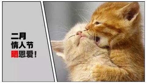 石家庄高中放假时间2022寒假通知,石家庄高校寒假放假最新通告