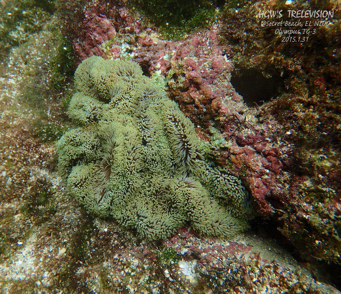 阳光，假日，海滩，带你深度游巴拉望上