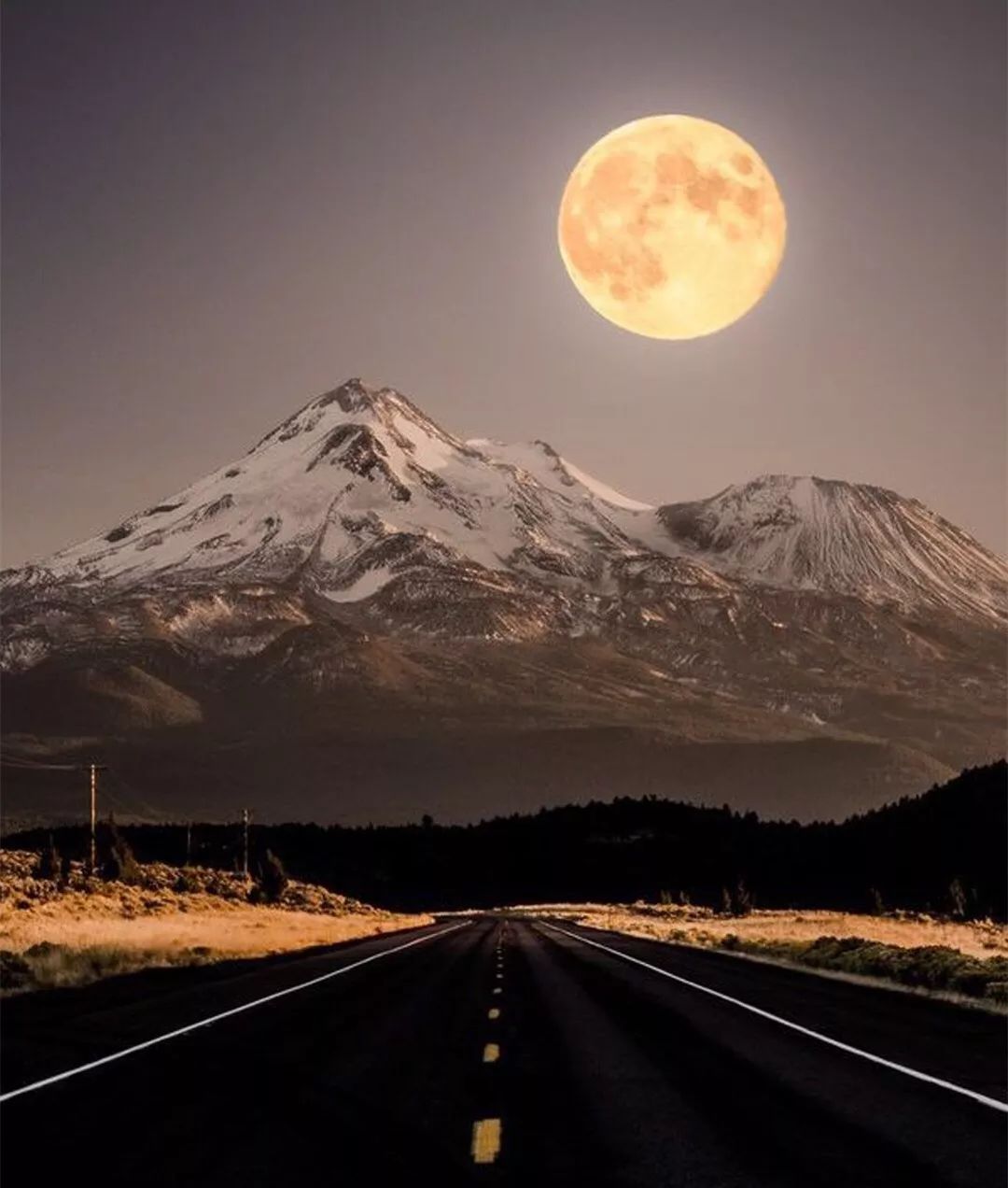 因为我们是青年,所以要志在远方?但是他们在等你回家,安陶说