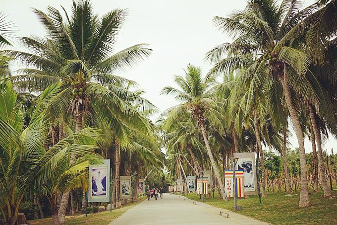 预支一段未来的旅行,带着父母去度假——三亚