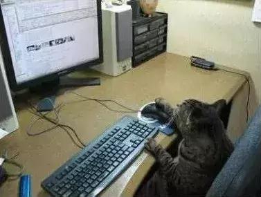 石家庄高中放假时间2022寒假通知,石家庄高校寒假放假最新通告