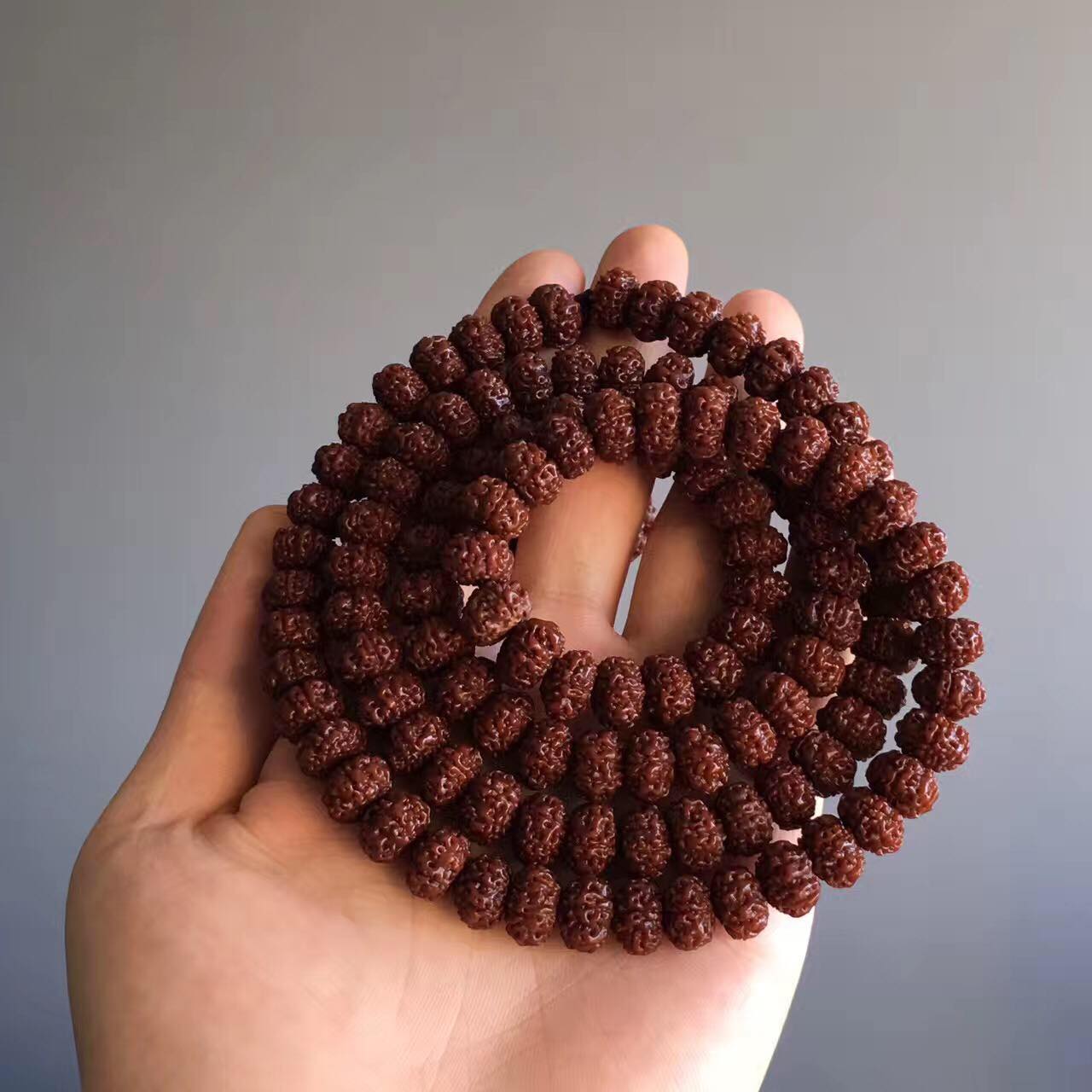 金刚菩提在哪里进货便宜,最好的小金刚菩提子是哪种