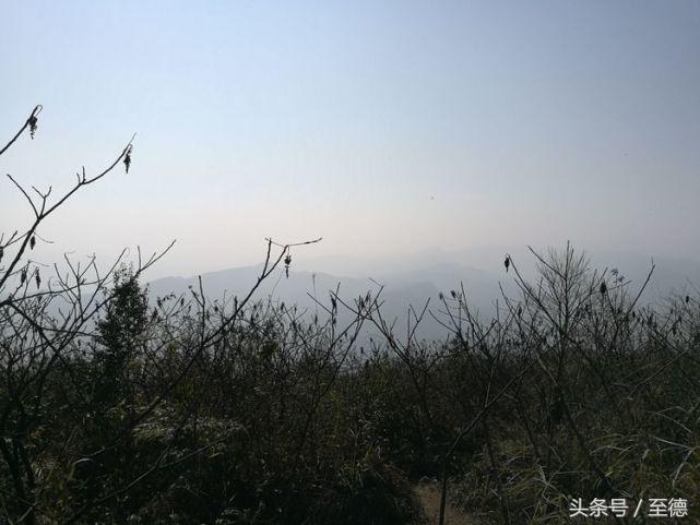 泸州深山老林景区,隐藏的世外桃源山中奇观