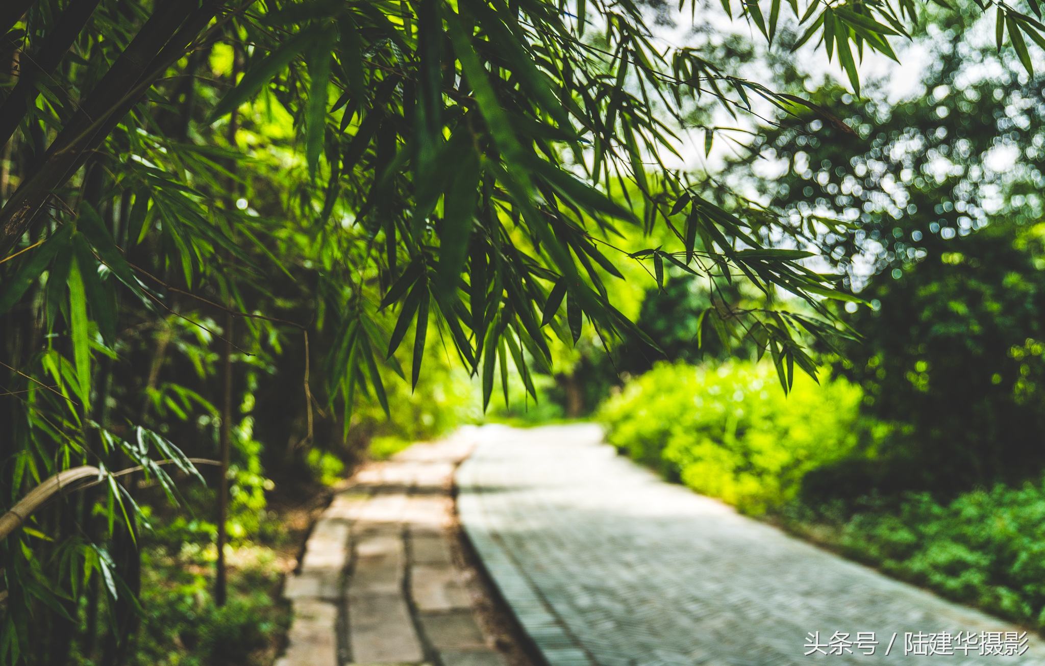 东莞世界工厂历史,东莞世界工厂遗址