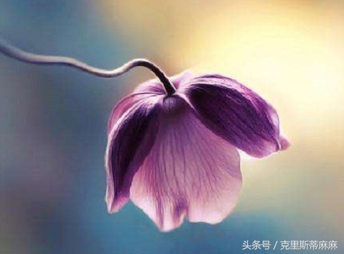 妈妈整理英语单词,幼儿英语单词爸爸妈妈