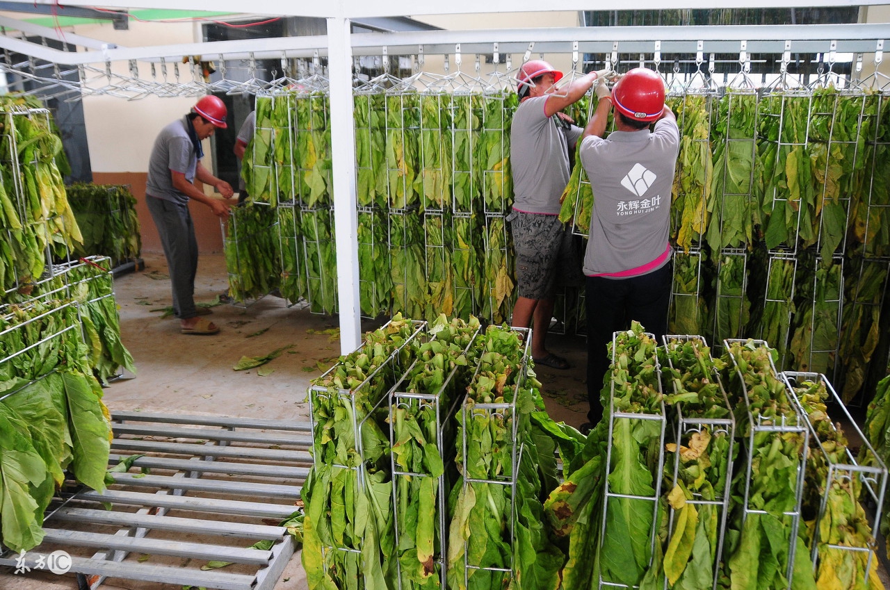 怎样才能卖好农资,卖农资最好的模式