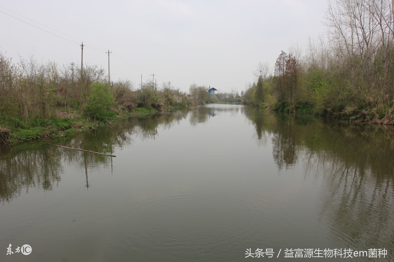 水产养殖泥鳅师傅,水产养殖网箱泥鳅
