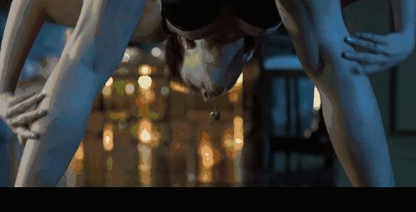 十二部顶级特工片冰锋,十二部顶级特工片免费观看