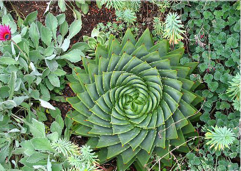 如果你能拥有任何一样东西,如果你能够拥有一栋别墅