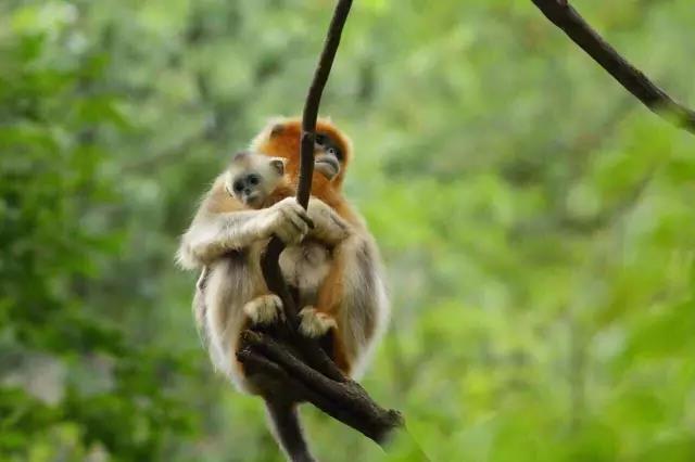 一个90后摄影师,一个90后的摄影师