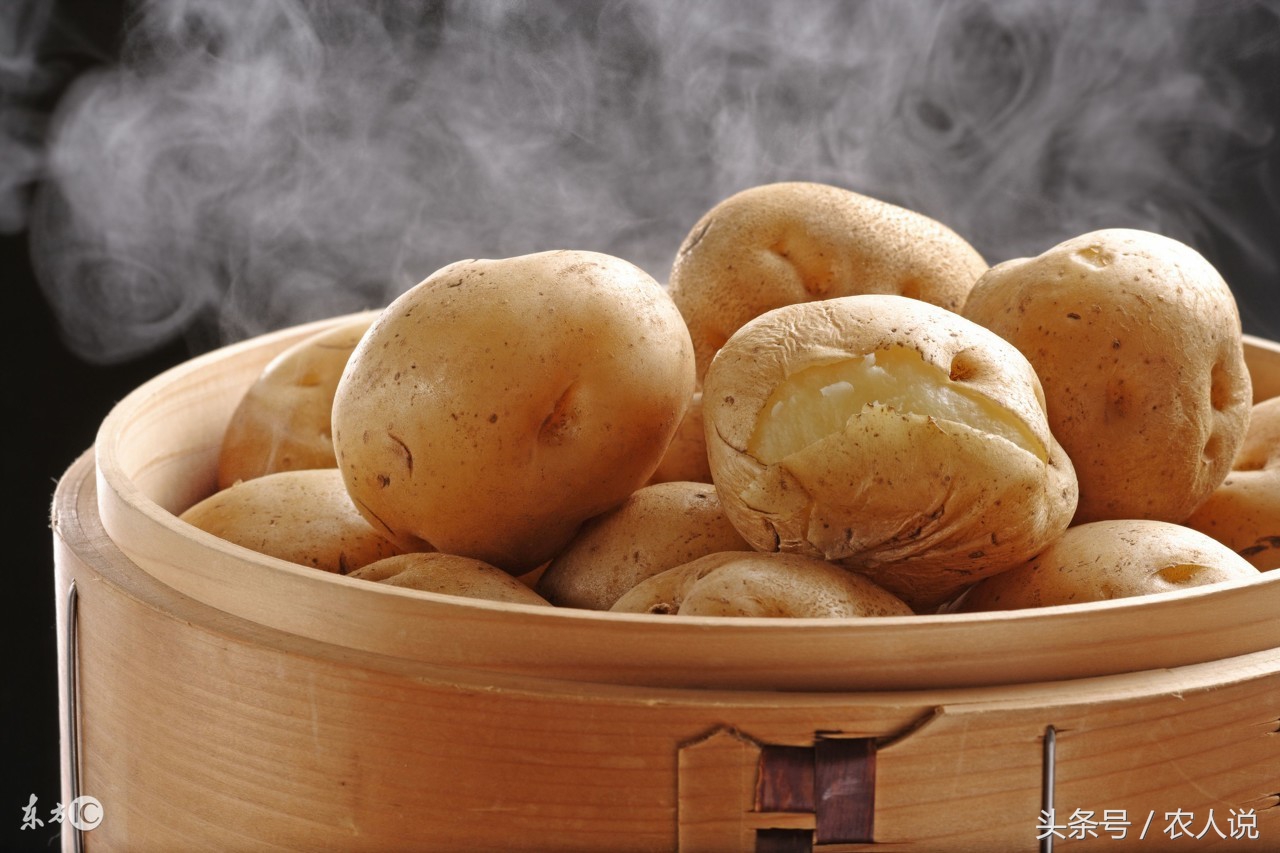 17年10月26日全国土豆马铃薯批发价格