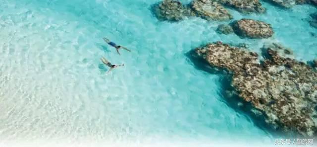 高更最后的大溪地,高更经历