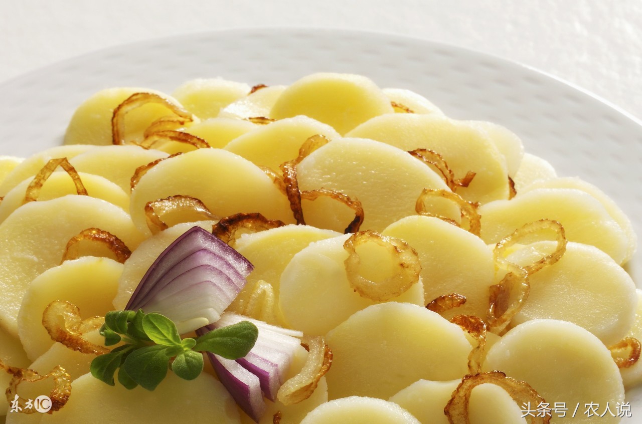 2020年土豆种子批发价格,2020年7月10日辽宁土豆批发价格