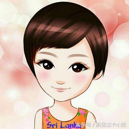 在斯里兰卡买房,斯里兰卡买一套小房子多少钱