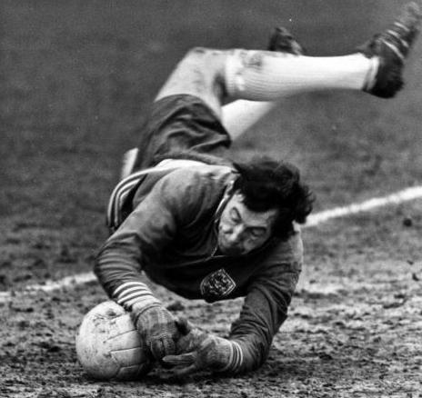 历届世界杯金球金靴金手套奖图解,历届世界杯冠军金手套