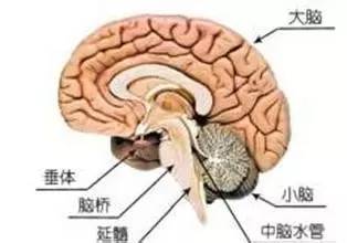 垂体瘤术后垂体危象,垂体瘤术后功能低下